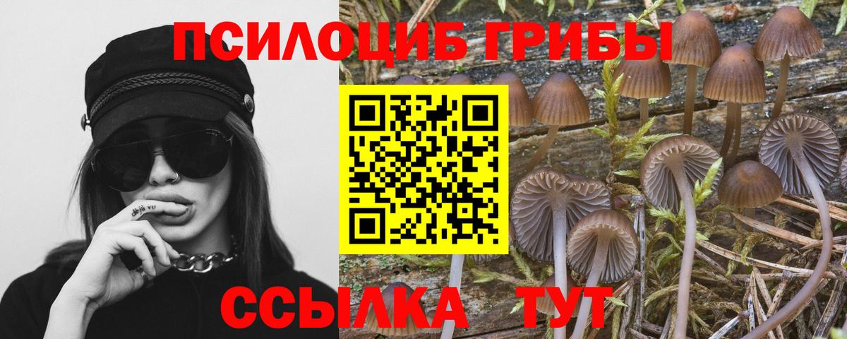 Галлюциногенные грибы MAGIC MUSHROOMS  Вход с VPN  Калуга 