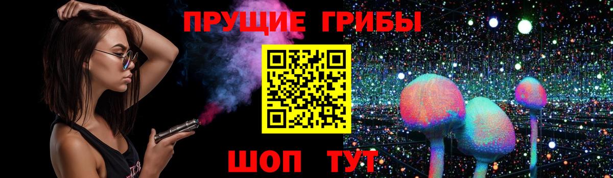 Галлюциногенные грибы Psilocybine cubensis Калуга